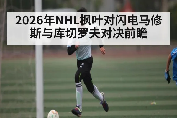2026年NHL枫叶对闪电马修斯与库切罗夫对决前瞻